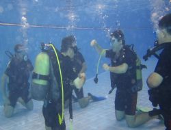 A.Ü'de dalış eğitimi 